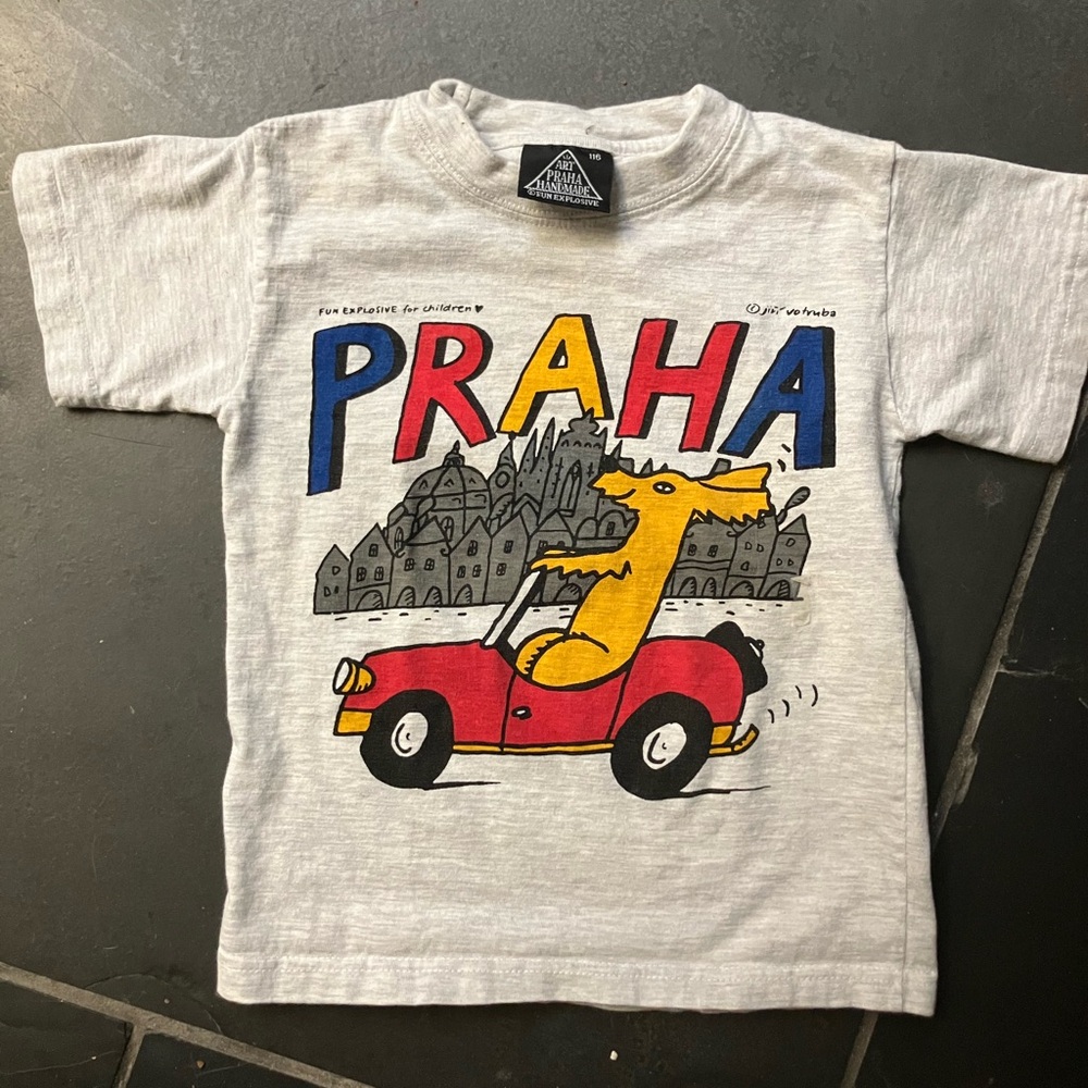 Boys Approximately Size 3T-4T 13” across and 16” down. “Praha”-Prague